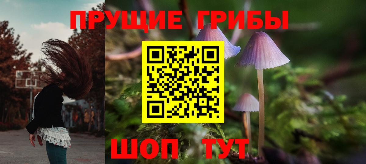 Галлюциногенные грибы прущие грибы  Вход с VPN  Псилоцибиновые грибы мицелий  Всеволожск 